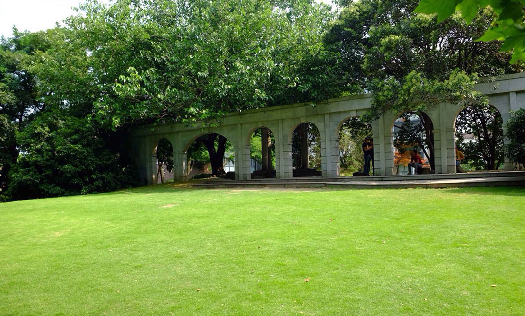 陇南大了学微信加粉案例